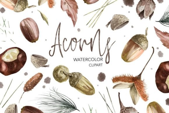 Acorns Watercolor Clipart – Autumn Forest Illustrations for Crafters