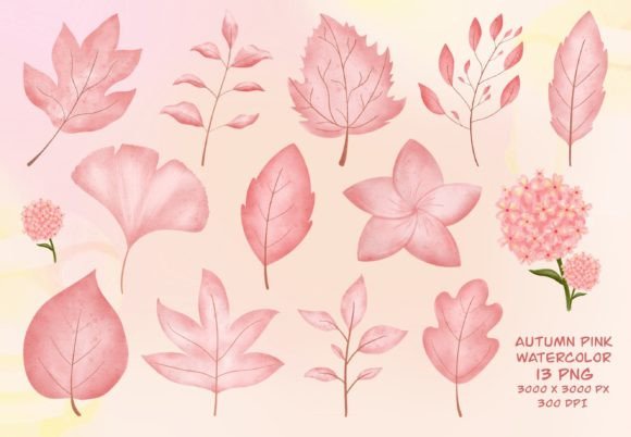 Autumn Pink Leaf Watercolor Clipart Review