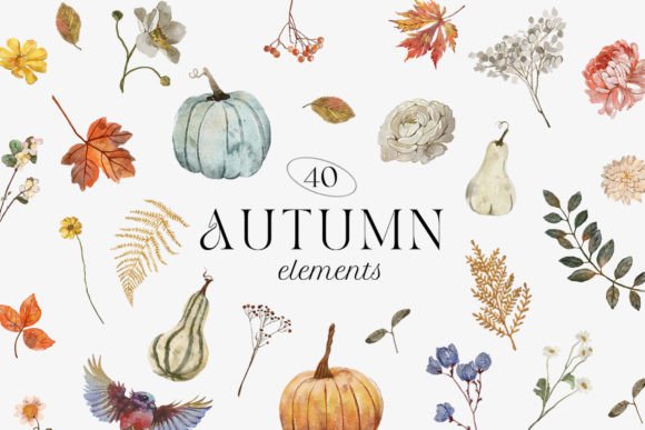 Autumn Watercolor Flower Leaf Clipart: A Designer’s Honest Review for Real Embroidery Use