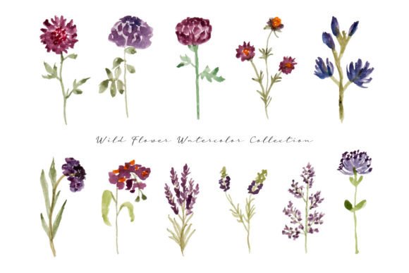 Cute Wild Flower Leaf Watercolor: A Designer’s Honest Take