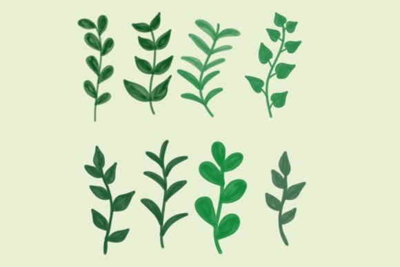Leaf Watercolor Illustrations for Digital Sellers