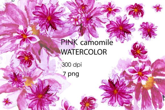 PINK Camomile Watercolor: A Soft Touch for Lifestyle Blog Graphics