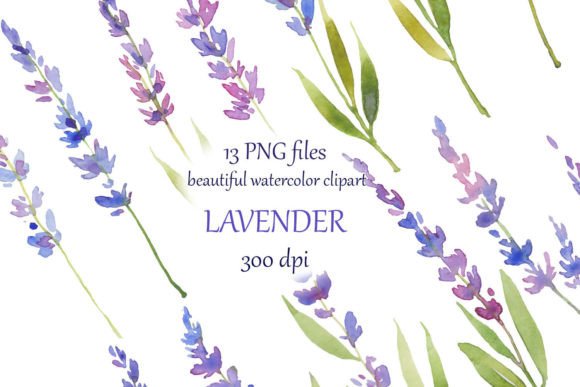 Watercolor Hand Painted Lavender: A Soft Touch for Branding & Marketing Illustrations