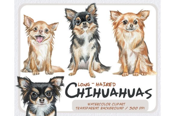 Watercolor Realistic Chihuahua Illustrations: A Brand Designer’s Take for Local Business Packaging and Branding