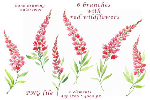 Watercolor Red Wildflowers Illustration for Creative Sellers