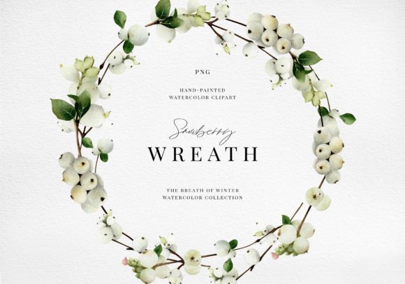 Watercolor Snowberry Winter Wreath Png