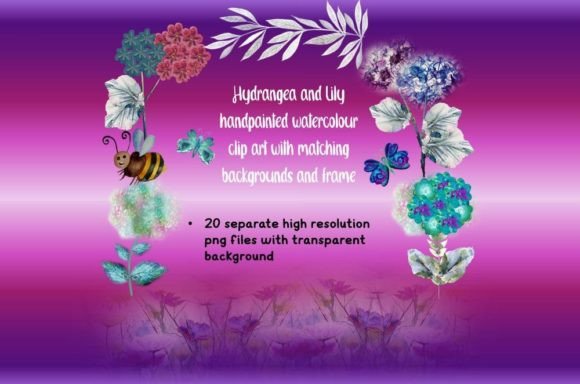Watercolour Hydrangea Illustrations: A Fresh Design Asset for Bloggers and Publishers