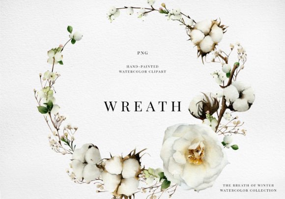 White Rose, Cotton Wreath Watercolor Png